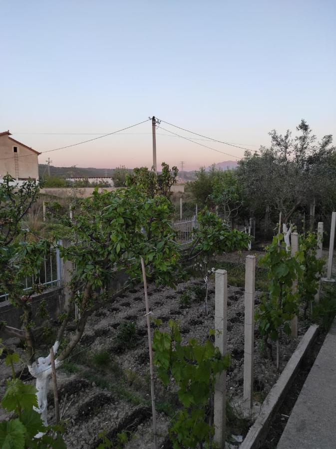 Ferienwohnung Alanthia Vlorë Exterior foto